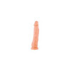 Gode plug réaliste grande taille avec ventouse 21cm 